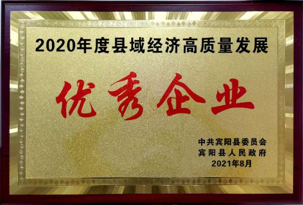 热烈祝贺广西和声电子荣获“优秀企业”称号